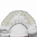 Zirconia Bridge, 100% Biocompatible and Inert